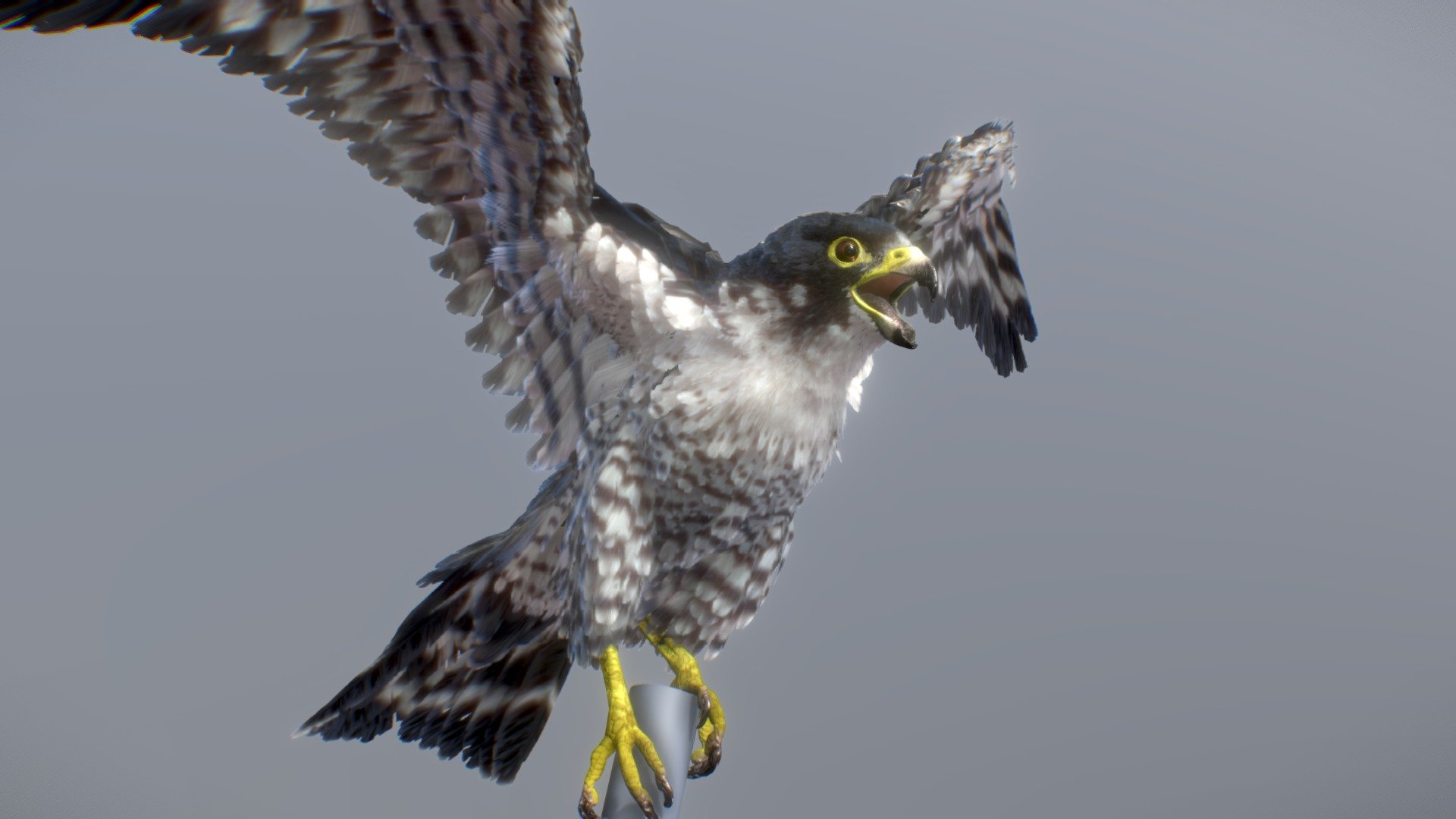 Before purchasing this model, you can download Guppy and try to import it.
Because for different software, rigging and animation may have different problems.

Peregrine Falcon can share the motions with Brown Falcon - Peregrine Falcon - Buy Royalty Free 3D model by NestaEric 3d model