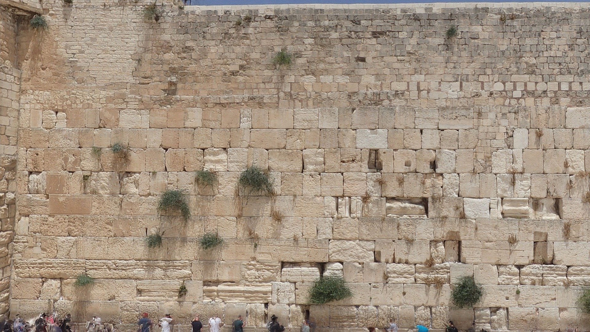 - Western wall (Kotel), Jerusalem - Download Free 3D model by Archéomatique (@archeomatique) 3d model