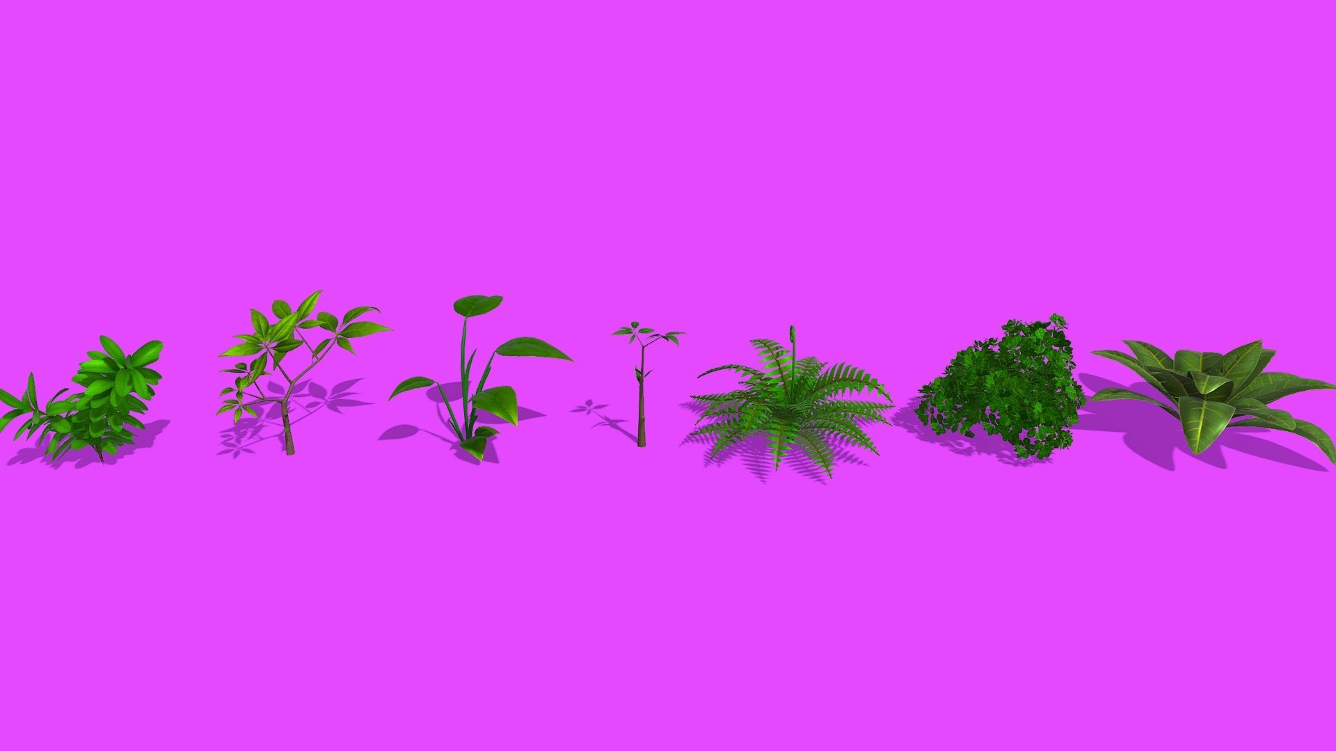 Plant - Buy Royalty Free 3D model by ostrich (@gohean33) 3d model