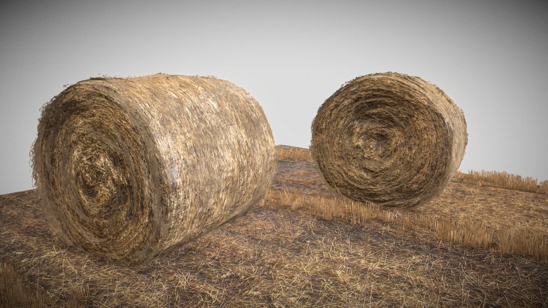 Round Hay Bale

Lowpoly hay bale asset with short wheat grass 3d model