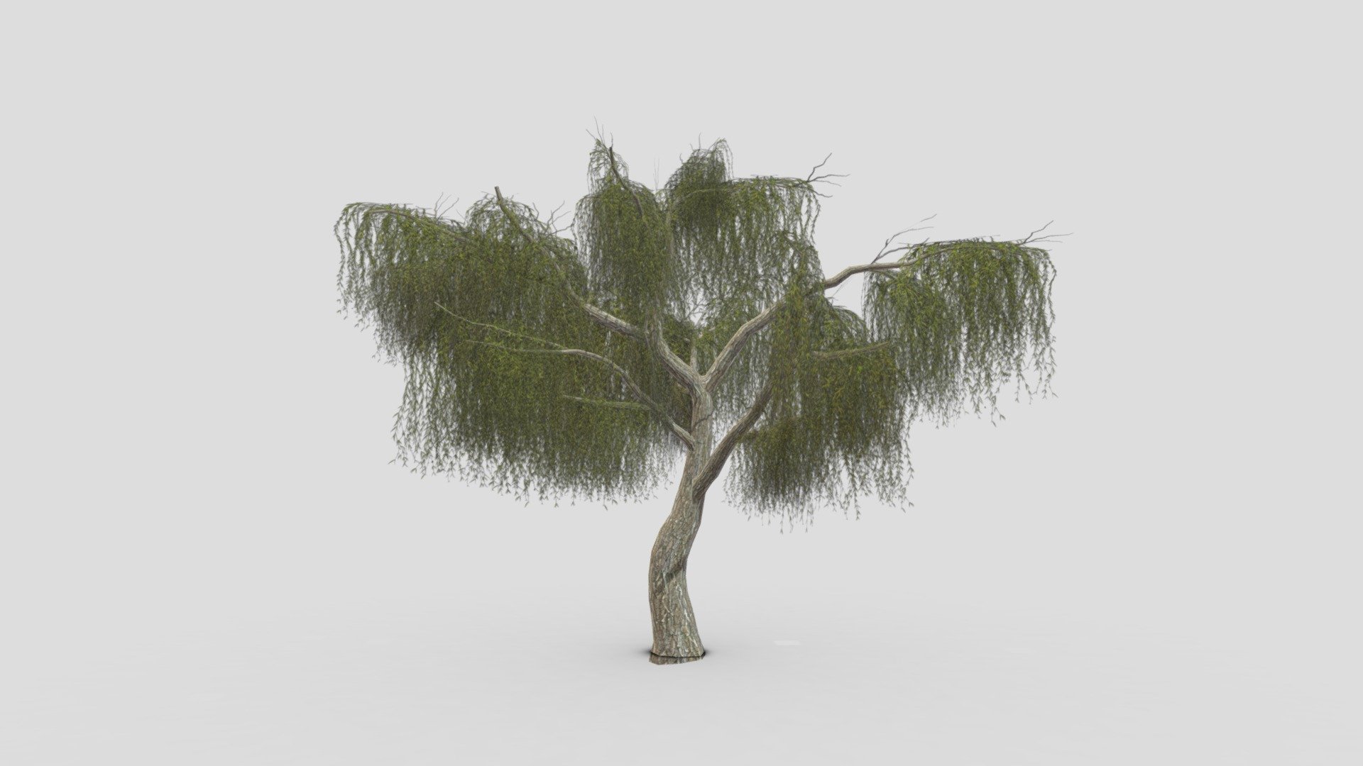 I try to provide low poly model of Weeping Willow tree to use for your game project. I hope this model will be useful for you 3d model