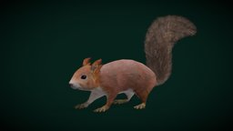 Red Squirrel (Game Ready) cute, pet, animals, creatures, mammal, squirrel, zoo, nature, game-ready, wildlife, animations, rodent, game-asset, sciuridae, vulgaris, herbivorous, lowpoly, sciurus, nyilonelycompany, noai, red-squirrel, anyimals, eurasian-red-squirrel, tree-squirrel