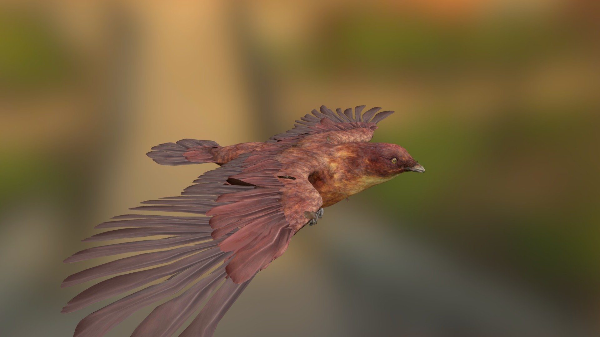 A detailed model of a bird, rigged and animated, with morph targets to open and close the wings 3d model