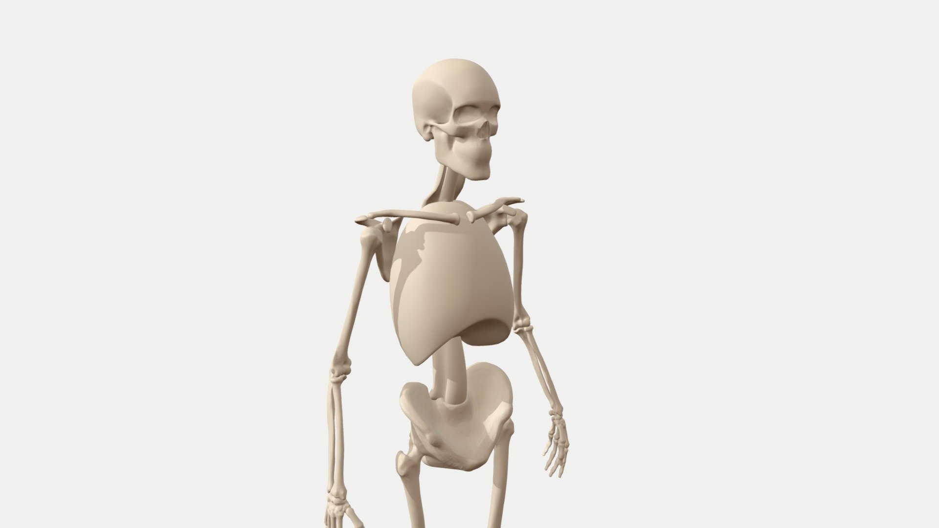 I did this animation as part of my series of blog posts on the movments of the shoulder.

You can read them here: http://pearsetoomey.com/category/anatomy/ - shoulder elevation depression animation skeleton - 3D model by pearsetoomey 3d model