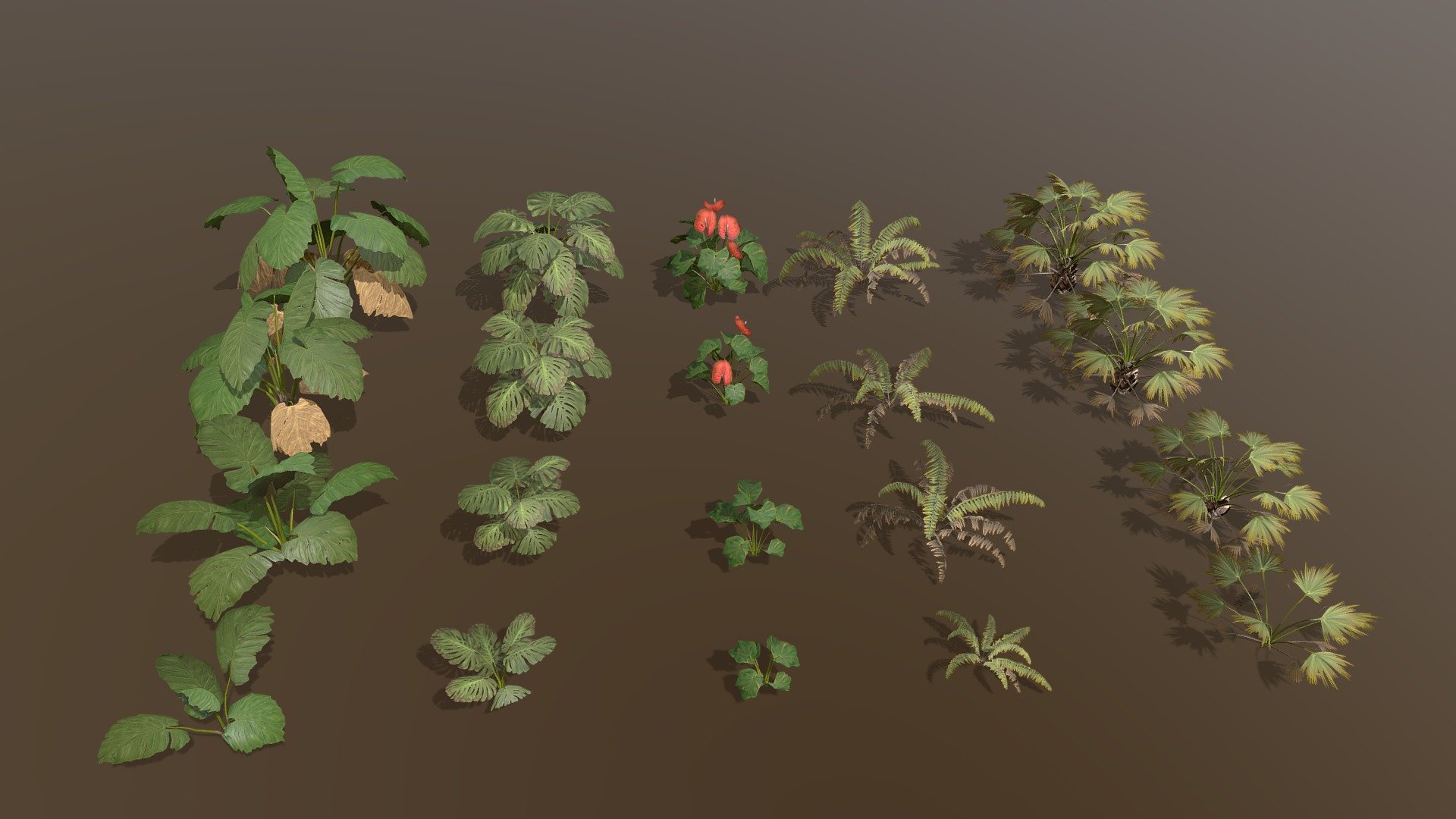 Tropical Plants Pack created in treeit.

alocasia macrorrhiza, 
Anthurium ,
fern,
monstera deliciosa,
needle palm,

Please check out my free models on my sketchfab profile made in treeit for compatibility.

Includes 20 diffrent models.

Each modle has the main model + 4 levels of detail, last LOD is an 8 poly imposter/billboard.

Exported to .fbx .obj .dbo

fbx/dbo format includes vertex colors for vertex shader wind animation.

Includes the tree it .tre project.

Texture size is 2k x 2.

Why am I selling this model?. Im the creator of treeit, a free tree generator that these tree models are created in. Having tree packs for sale will incentivise and insure further development of the program that is in need of improvement 3d model