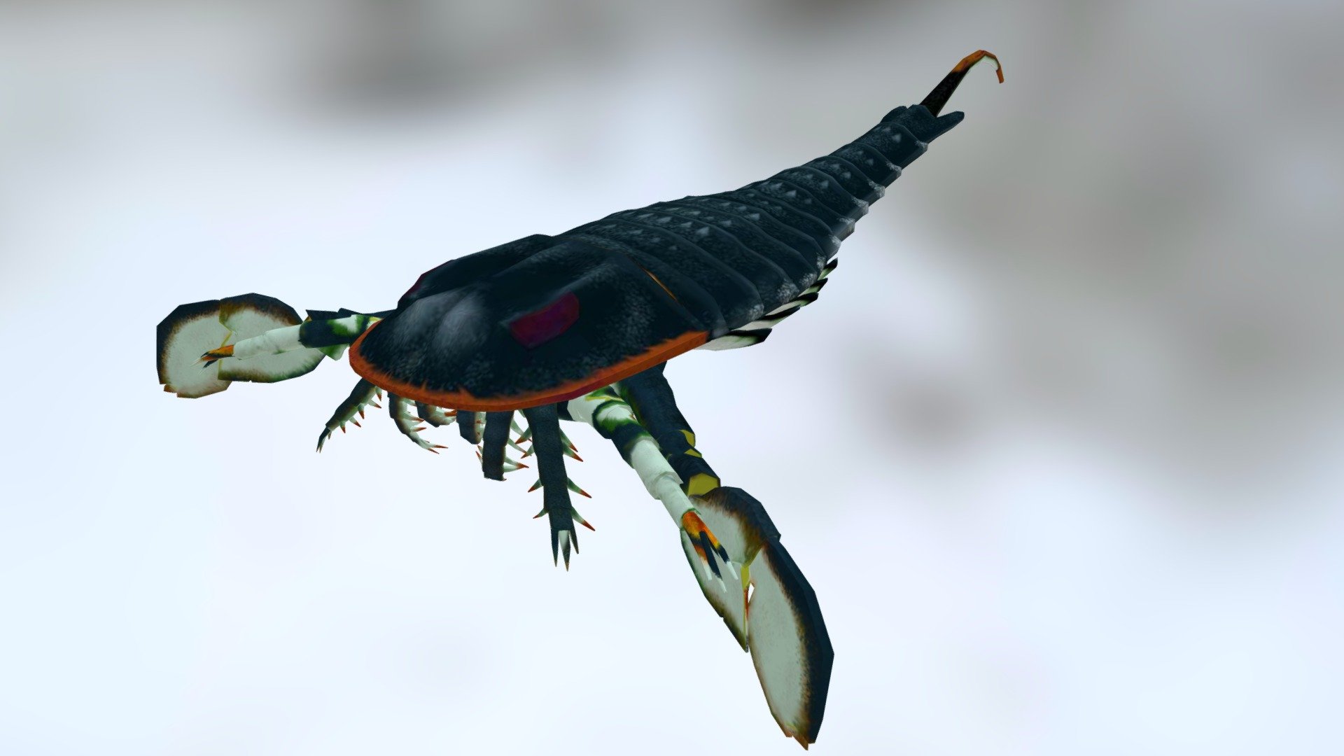 Eurypterus est un Euryptéride ou scorpion de mer du Silurien
Very detailed and accurate reconstruction of Eurypterus a sea scorpion (Eurypterid) of North America - Eurypterus - Buy Royalty Free 3D model by evolution.biologique 3d model