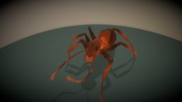 ant animated insect, ant, lowpoly, animated, 3dmax, modo