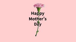 Mothers Day Carnation AR  3D model flower, ar, carnation, mothers-day
