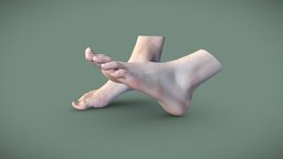 Male Feet anatomy, feet, foot, feetmodeling, vr-ready, feets, 3dscan