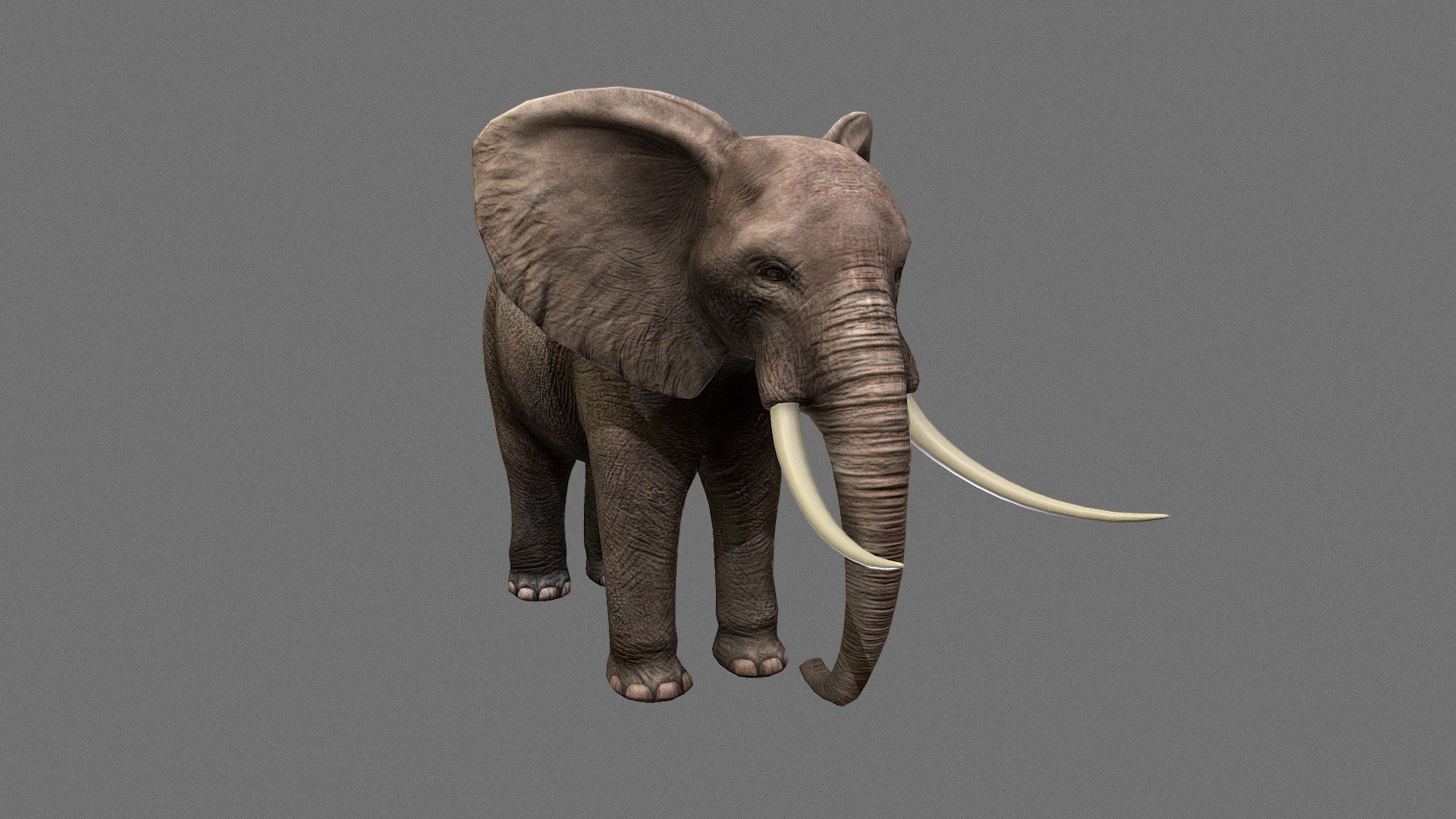 ELEPHANT - 3D model by Agnieszka Talik (@agatalik) 3d model