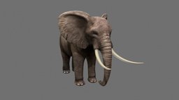 ELEPHANT elephant, realistic, 3d, low, poly, animal