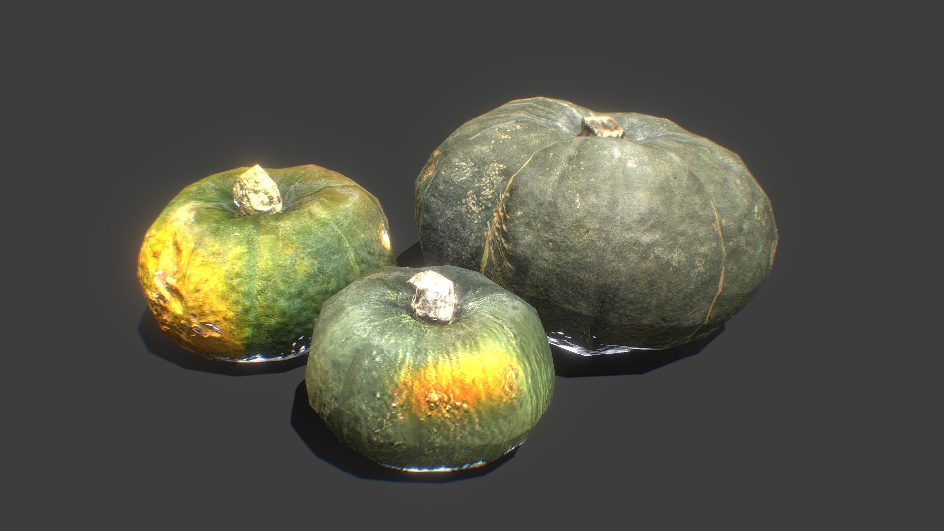 Check out my website for more products and better deals! &gt;&gt; SM5 by Heledahn &lt;&lt;


This is a digital 3d model of  three green pumpkins. The pumpkins have been scanned and retopologized from three different Japanese variety of green pumpkins, and the resulting models have an excellent quality and detail, while maintaining a very small poly count.

The textures can be interchanged between the models, allowing for a great variety of pumpkins. (Also interchangable with Halloween Pumpkins)

(TIF DISPLACEMENT MAP TEXTURES ONLY FOR SALE IN MY WEBSITE 🔼)

This product will achieve realistic results in your rendering projects and animations, being greatly suited for close-ups due to their high quality topology and PBR shading 3d model