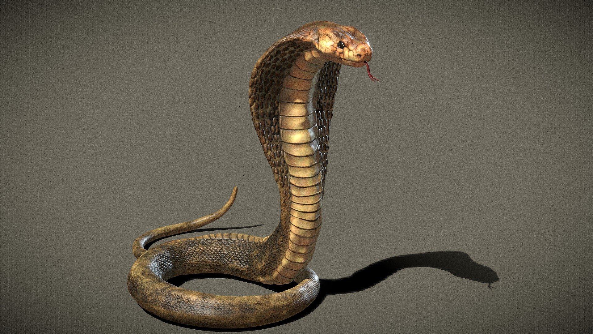 Naja snake sculpted and painted in Zbrush 3d model