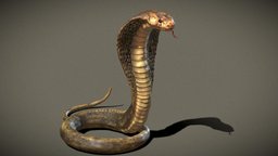 Naja Snake sculpt, animals, cobra, snake, scales, nature, reptile, serpent, naja, zbrush, animal, createdbyme, noai