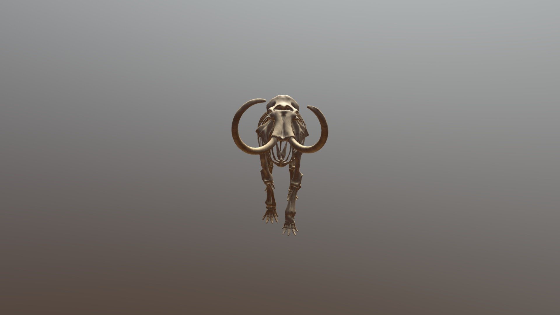 Mammoth Skeleton Animated - 3D model by Rob Kennedy (@darumatech) 3d model