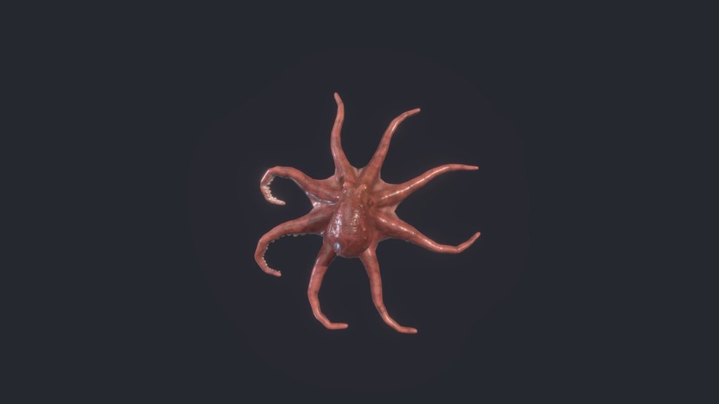 Octopus - 3D model by Doug Barbosa (@douglas3dart) 3d model