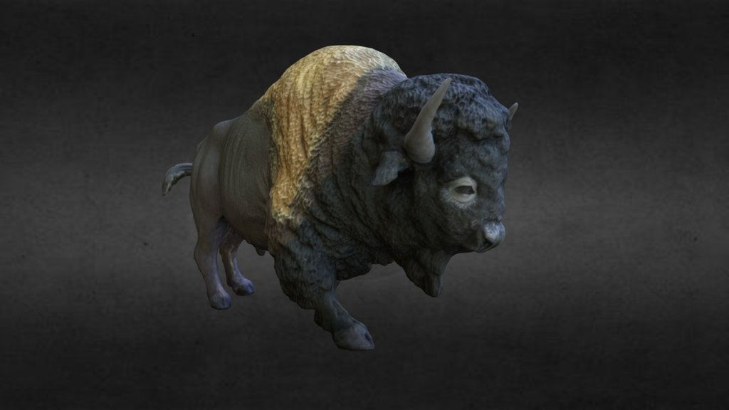 Scan of a small Bison figureine/toy/thingy.

This one has a weird butt too&hellip; if you're into that sorta thing 3d model