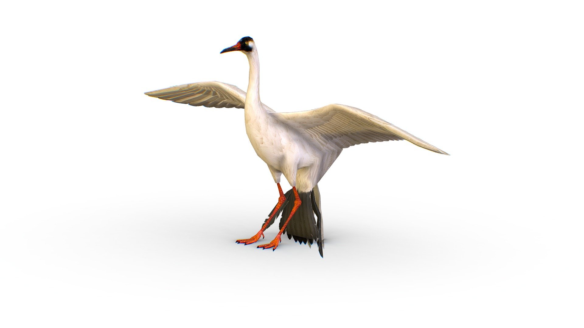 LowPoly Crane Bird, 1024x1024 texture size (nirmal,difuse,specular) - LowPoly Crane Bird - Buy Royalty Free 3D model by Oleg Shuldiakov (@olegshuldiakov) 3d model