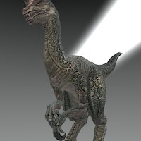 Velociraptor prehistoric-jurassic, fantasy, dragon, dinosaur