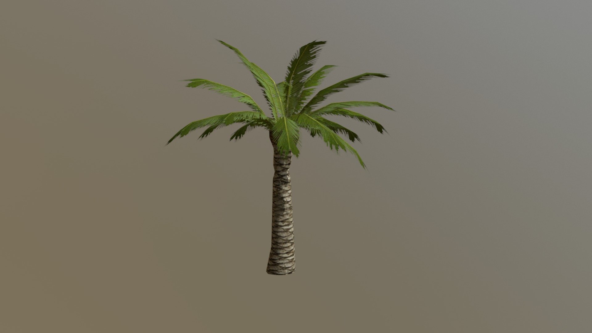 Published by 3ds Max - Palm Tree - 3D model by Kenzo De Coster (@Kenzo_DeCoster) 3d model