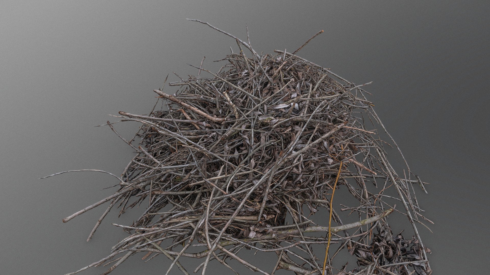 Sawed cut Tree bush dry dead small short young branch branches wood pile heap stack

photogrammetry scan (140x36mp), 2x8k textures - Small branches pile - Buy Royalty Free 3D model by matousekfoto 3d model
