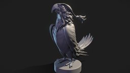 Parrot-Sculpt 3d Print toy, boardgame, parrot, figurine, print, printable, perroquet, 3dprint, zbrush