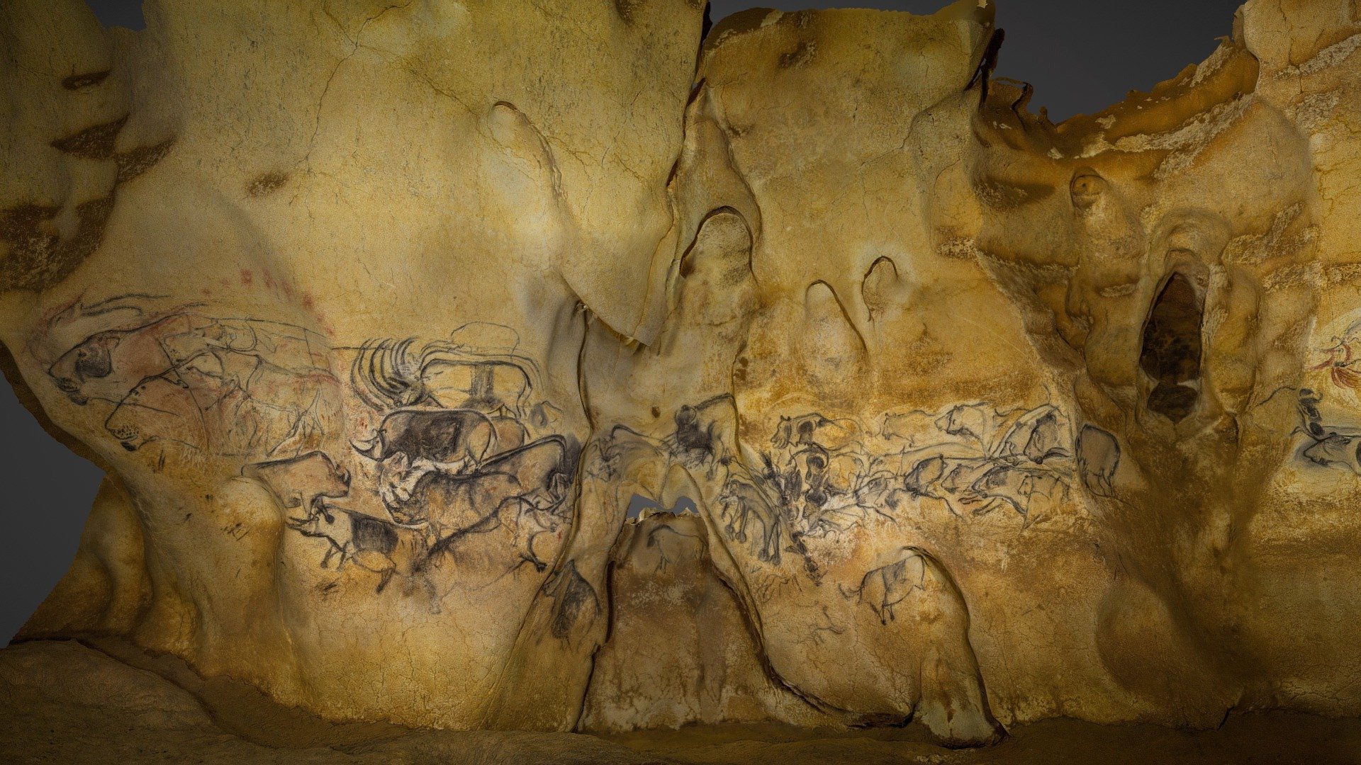 The Lion Panel is located in the lowest level of Chauvet Cave. Theses paleolithic paintings are among the best preserved and most spectacular of the ancient world. Dates for the Chauvet paintings hover around 36,000 years BP. 
The images for this model were originally shot for my National Geographic Magazine article on the first artists (here)
Read more about the discovery of Chauvel here - The Lion Panel of Chauvet, France - 3D model by Ancient Art Archive (@ancientartarchive) 3d model