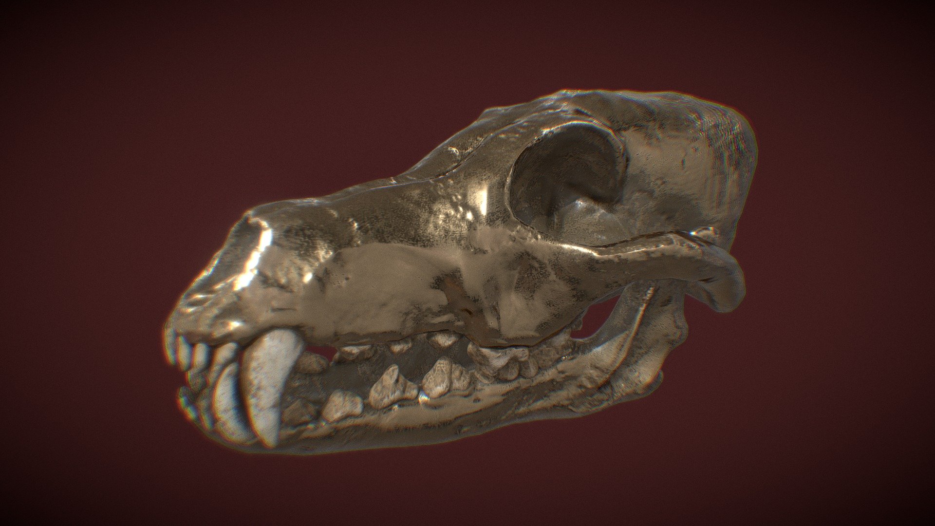 dog_skull_reboot - Buy Royalty Free 3D model by Tom Johnson (@Brigyon) 3d model