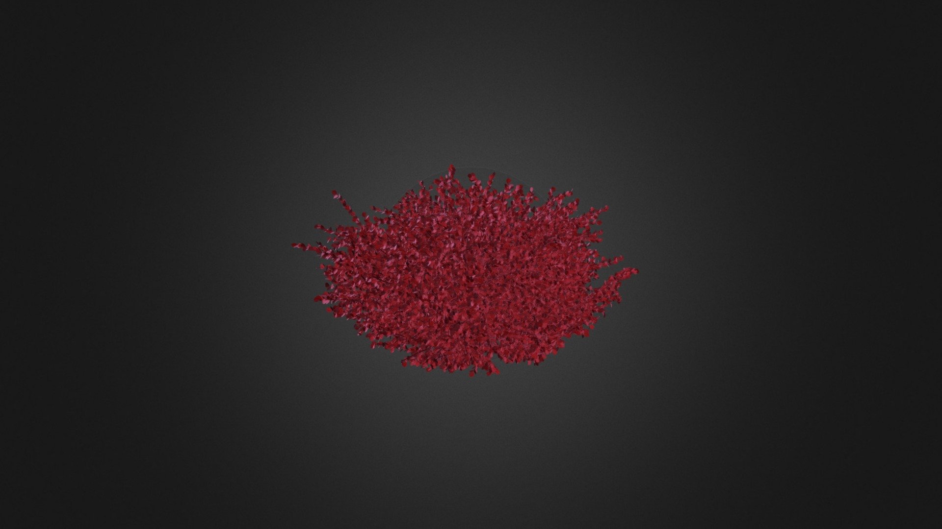 Red Leaf Japanese Barberry - Red Leaf Japanese Barberry - Buy Royalty Free 3D model by cgaxis 3d model