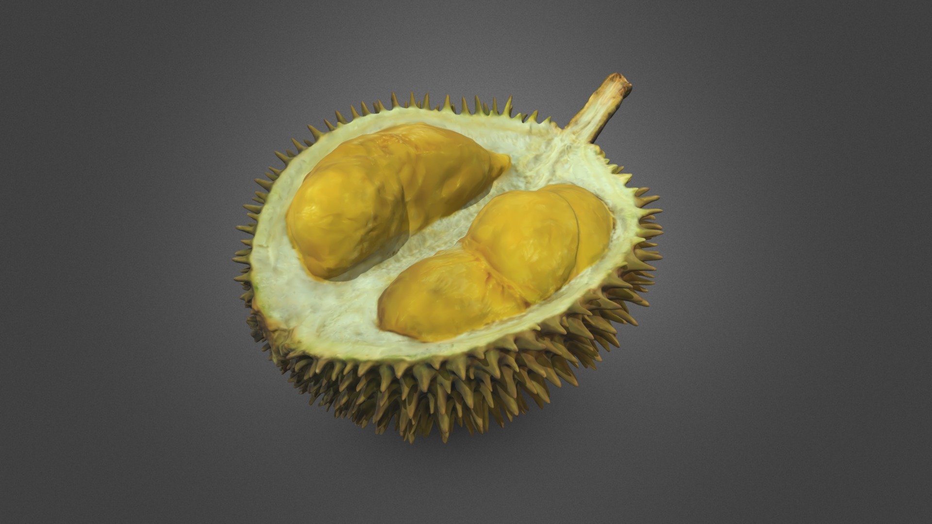 Durian is a unique tropical fruit. It’s popular in Southeast Asia, where it’s nicknamed “the king of fruits.” Durian is very high in nutrients, containing more than most other fruits. However, it also gets a bad rap due to its strong smell. Durian is a tropical fruit distinguished by its large size and spiky, hard outer shell. It has a smelly, custard-like flesh with large seeds. Durian grows in tropical regions around the world, particularly in the Southeast Asian countries of Malaysia, Indonesia, and Thailand 3d model