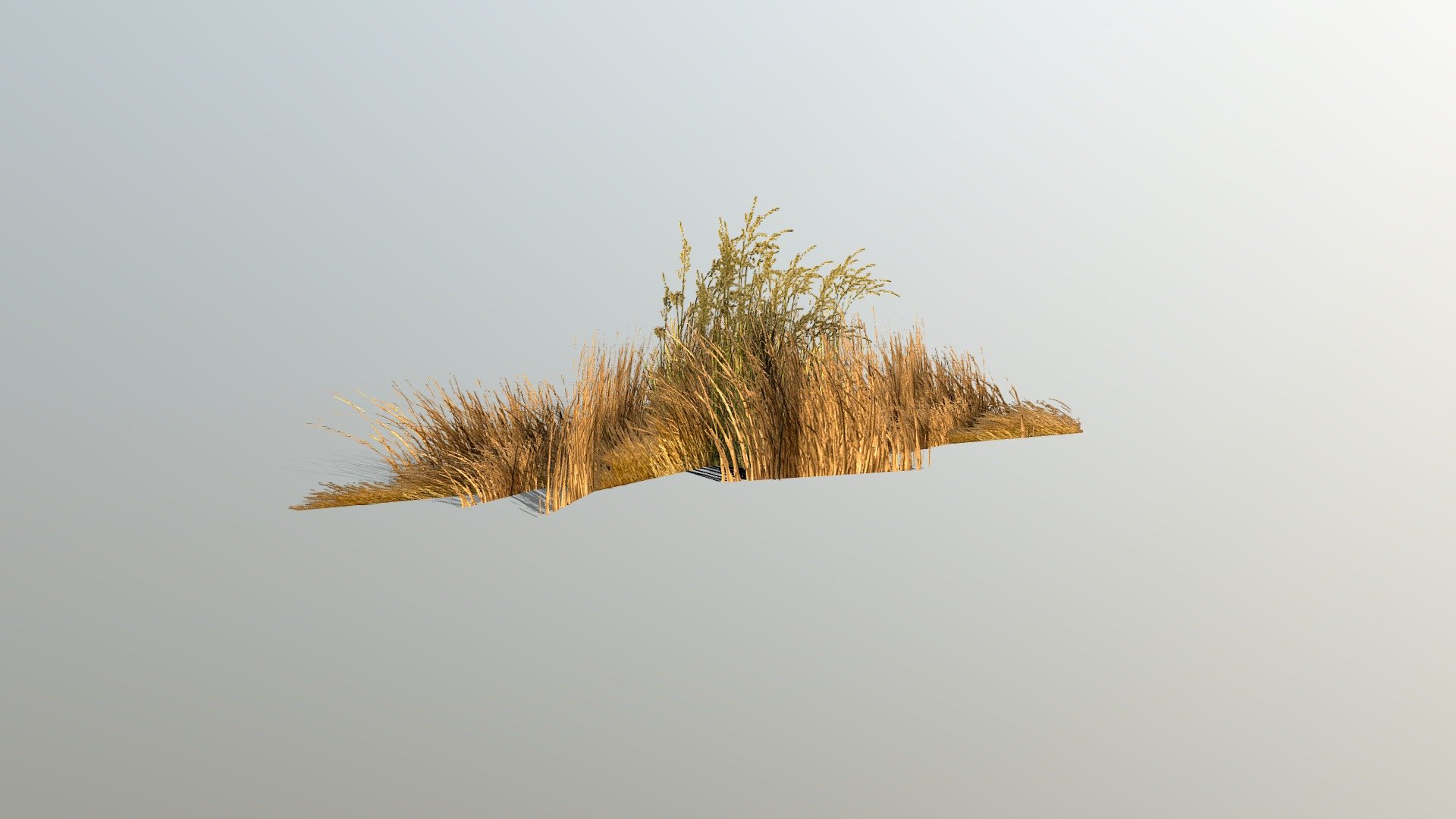 Dry Grass - Dry Grass - Download Free 3D model by Luis Gustavo (@Luissantos2) 3d model