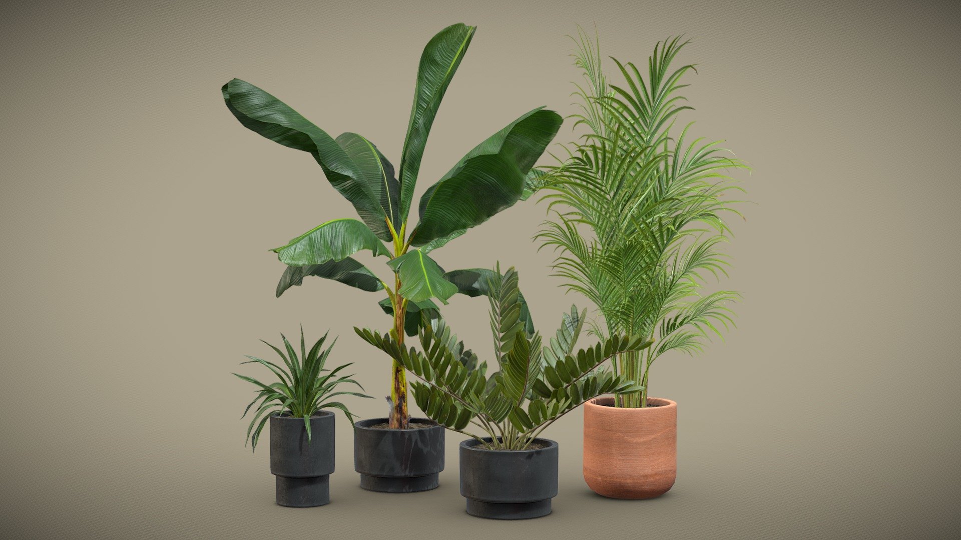 Indoor Plants Pack 43

This selection of indoor exotic plants will provide a nice touch to your interior renders.




Musa Paradisiaca

Dypsis Lutescens

Zamia Furfuracea

Rhodea Japonica

4k Textures




Vertices  79 916

Polygons  63 373

Triangles 126 610
 - Indoor Plants Pack 43 - Buy Royalty Free 3D model by AllQuad 3d model