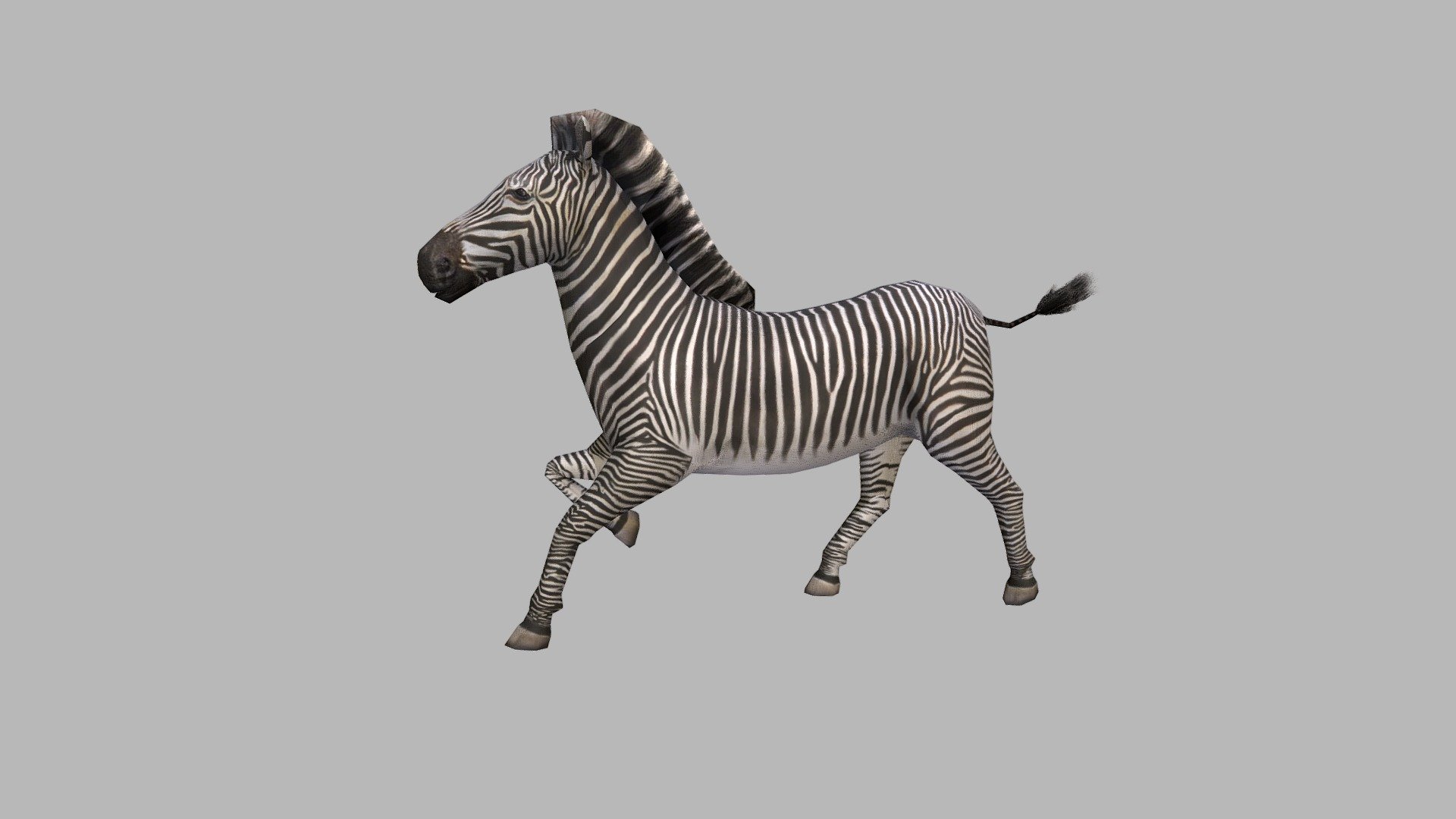 Zebra Run - 3D model by josluat91 3d model