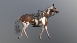 Horse Walk- cycle animated