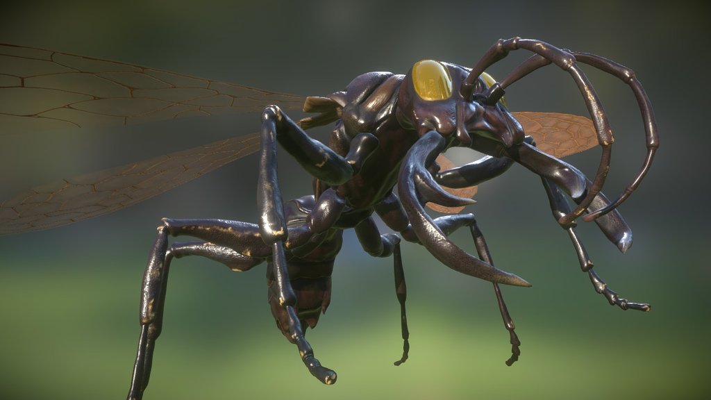 Synoeca septentrionalis,model sculpt in zbrush,blender uvs ,substance painter textures - Warriror Wasp - 3D model by UtasCZ (@utinek) 3d model