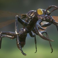 Warriror Wasp