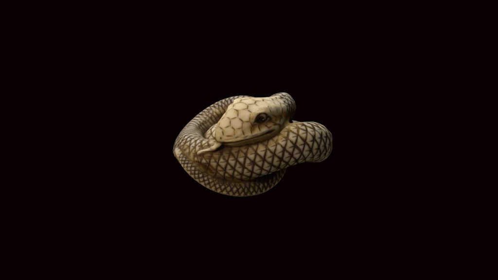 Although feared as a dangerous and ominous creature in many cultures, snakes have been worshiped as divine messengers and appear in many myths and legends in Japan. Here a snake coils up forming a complex and strong composition, providing a compact design, which is perfect for use as a netsuke.

BM website: [1945,1017.603] (http://www.britishmuseum.org/research/collection_online/collection_object_details.aspx?objectId=769607&amp;partId=1), Barker &amp; Smith 1976 no. 53, Tsuchiya 2014 pp. 124-125

Produced by the Arts Research Center Ristumeikan University, Japan 3d model