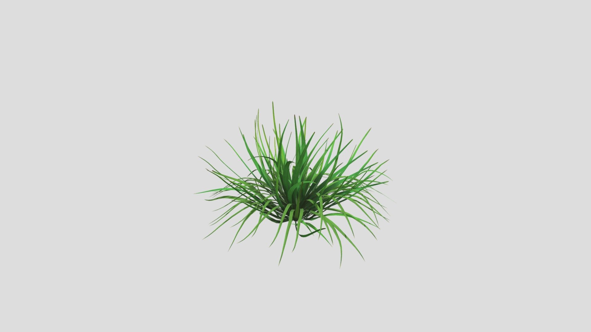 this is a group of grass 3d model