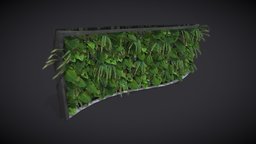 Plant Wall