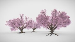 Blossom tree Sakura  ( Cherry ) 4 versions UPD tree, plant, flower, japan, cherry, visualization, beauty, spring, rose, nice, pink, easy, sakura, leaf, branch, fresh, type, blossom, root, rosy, trank, render, 3d, model, decoration, leaves, download, gameready