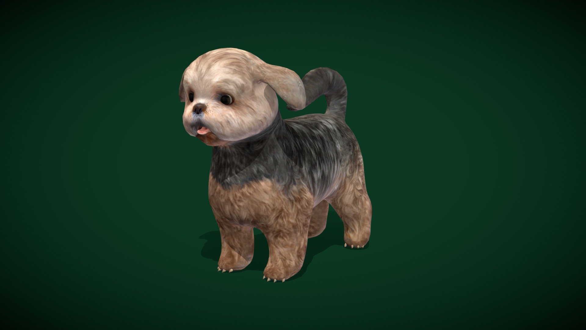 Shihtzu Dog  (Toy Dog Pet Dog Breed) 

Canis lupus familiaris Animal Mammal (  Cute ) Pekingese

1 Draw Calls

Lowpoly









1 Animations

4K PBR Textures Material

Unreal FBX

Unity FBX  

Blend File 

USDZ File (AR Ready). Real Scale Dimension

Textures Files

GLB File

Gltf File ( Spark AR, Lens Studio(SnapChat) , Effector(Tiktok) , Spline, Play Canvas ) Compatible

Triangles : 9608

Vertices  : 4934

Faces     : 6117

Edges     : 11030

The Shih Tzu is a toy_dog or pet_dog breed originating from Tibet and believed to be bred from the Pekingese and the Lhasa Apso. Shih Tzus are known for their short snouts and large round eyes, as well as their long coat, floppy ears, and short and stout posture. Wikipedia
Temperament: Playful, Clever, Affectionate, Lively, Intelligent, MORE - Shih Tzu Dog Breed (Lowpoly) - Buy Royalty Free 3D model by Nyilonelycompany 3d model