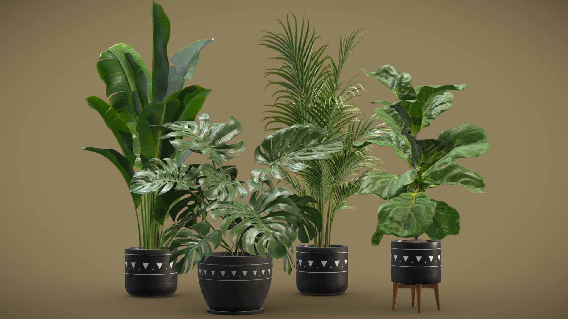 Indoor Plants Pack 17

This selection of indoor exotic plants will provide a nice touch to your interior renders. I kept the polycount relatively low but you can also subdivide the model if you need more definition.




Ficus Lyrata

Monstera Deliciosa

Dypsis Lutescens

Strelitzia Reginae

4k Textures




Vertices  51 538

Polygons  40 293

Triangles 79 664
 - Indoor Plants Pack 17 - Buy Royalty Free 3D model by AllQuad 3d model