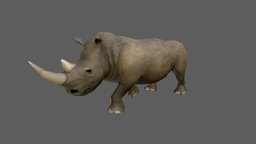 Rhinoceros elephant, africa, animals, lizard, wild, rhinoceros, natural, african, zebra, safari, lion, realistic, willife, animal, animation