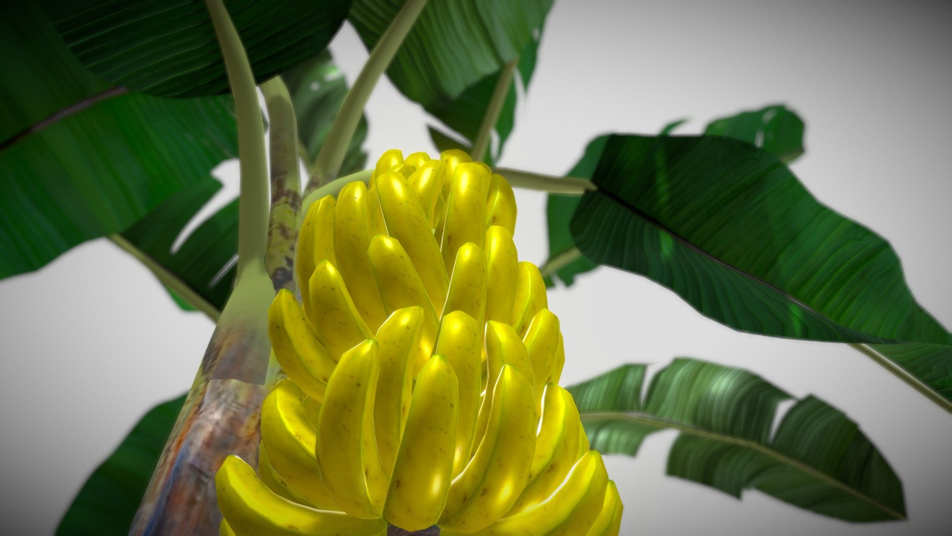 Banana Tree - 3D model by Kailash H Kanojia (@KailashHKanojia) 3d model