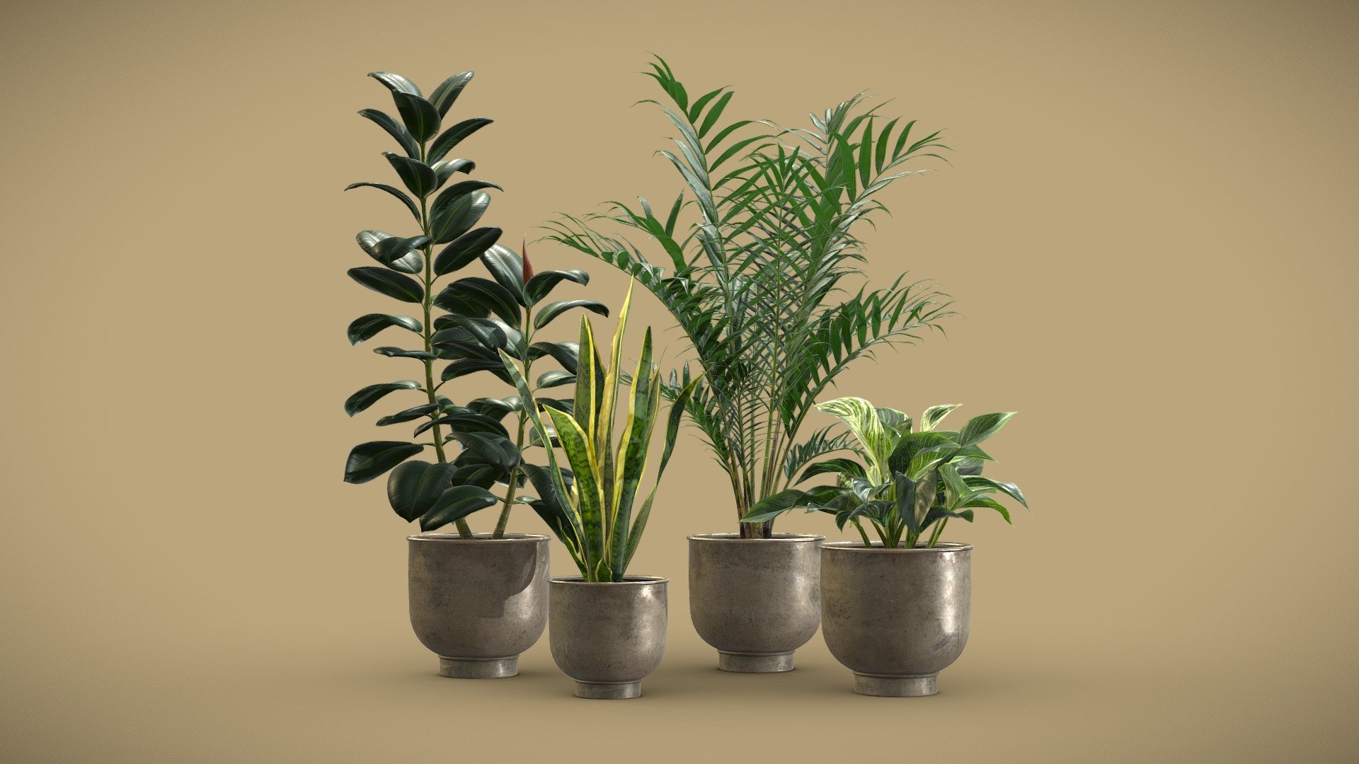 Indoor Plants Pack 20

This selection of indoor exotic plants will provide a nice touch to your interior renders. I kept the polycount relatively low but you can also subdivide the model if you need more definition. 


Ficus Elastica
Philodendron Birkin Variegata
Sansevieria
Howea Forsteriana

4k Textures


Vertices  108 568
Polygons  90 788
Triangles 180 918
 - Indoor Plants Pack 20 - Buy Royalty Free 3D model by AllQuad 3d model
