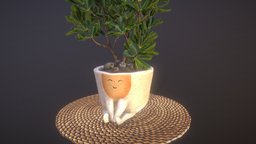 ceramic_pot plant, pot, flower, flowerpot, handmade, ceramic, claypot, clay-pot