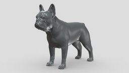 French Buldog V3 3D print model stl, dog, pet, animals, figurine, 3dprinting, doge, 3dprint, dogstl, stldog