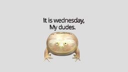Wednesday Frog 