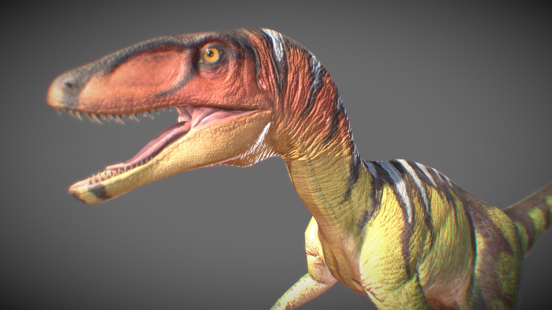 My version of deinonychus, I didn't intend to make a realistic version, rather something based on the style of the 90s like those of jurassic park that gave so much influence.

Note: By some reason the gizmo in sketchfab is displaced even though it is fine in Maya, if anyone knows how to fix it I would appreciate it 3d model