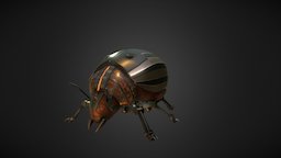 Colorado Beetle insect-mecha-pbr